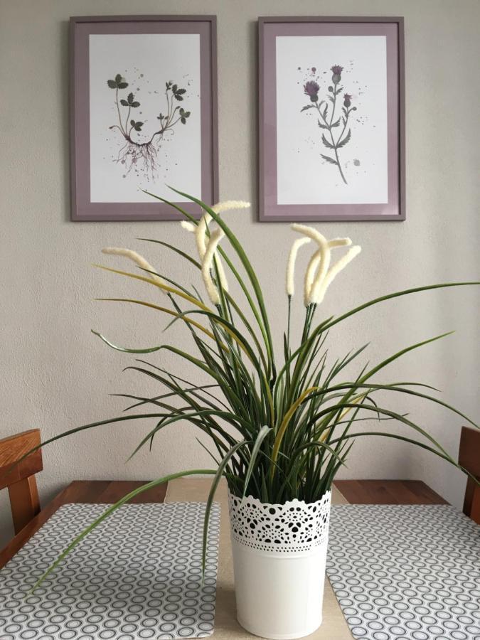 Apartment Pension Sternchen Ерфурт Екстериор снимка